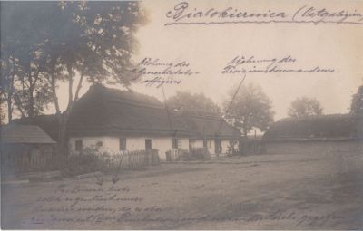 Bialokiernica Feldpost 1917 awers